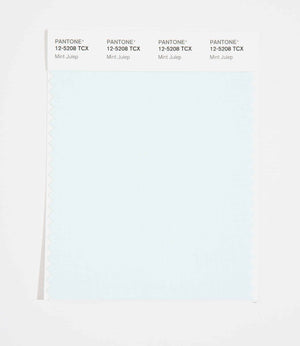 Pantone SMART Color Swatch 12-5208 TCX Mint Julep