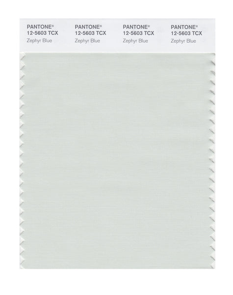 Pantone SMART Color Swatch Card 12-5603 TCX Zephyr Blue - Columbia