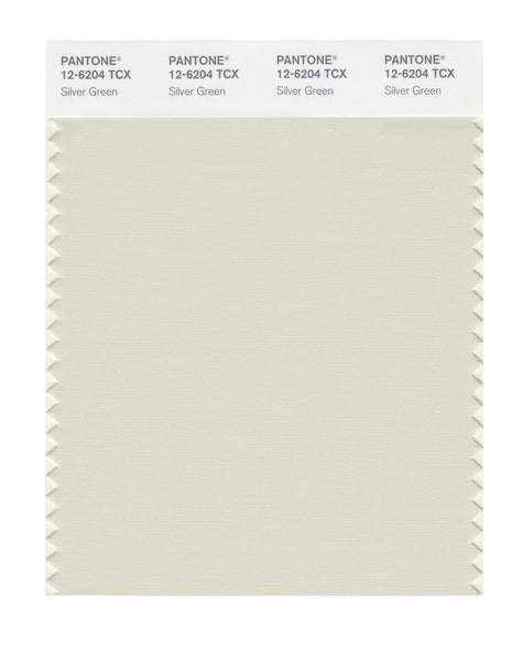 Pantone SMART Color Swatch Card 12-6204 TCX Silver Green