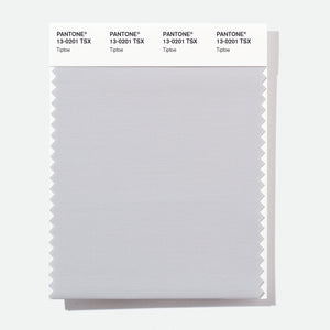 Pantone Polyester Swatch Card 13-0201 TSX Tiptoe