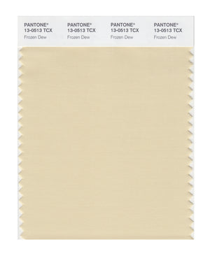 Pantone SMART Color Swatch 13-0513 TCX Frozen Dew