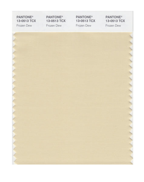 Pantone SMART Color Swatch Card 13-0513 TCX Frozen Dew - Columbia