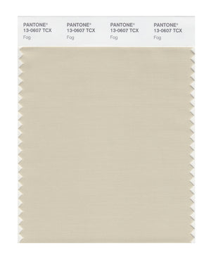 Pantone SMART Color Swatch 13-0607 TCX Fog