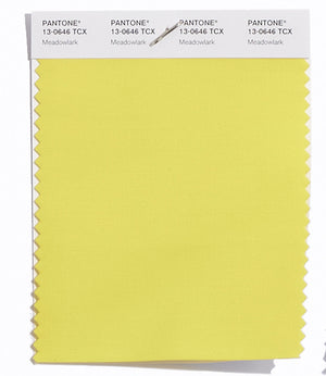 Pantone SMART Color Swatch 13-0646 TCX Meadowlark