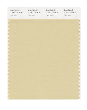 Pantone SMART Color Swatch 13-0715 TCX Sea Mist