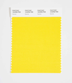 Pantone SMART Color Swatch 13-0753 TCX Quince
