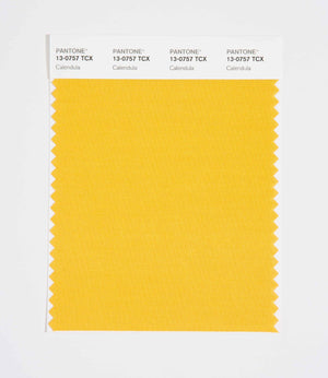 Pantone SMART Color Swatch 13-0757 TCX Calendula