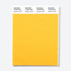 Pantone Polyester Swatch Card 13-0761 TSX Spaghetti Squash