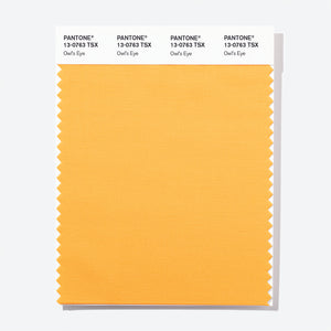 Pantone Polyester Swatch Card 13-0763 TSX Owl's Eye