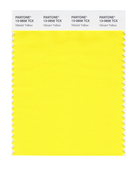 purple and yellow 13