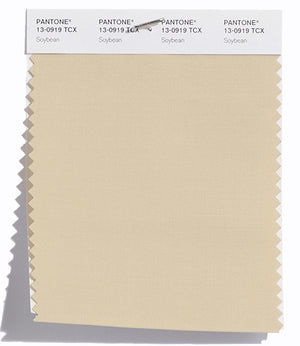 Pantone SMART Color Swatch 13-0919 TCX Soybean