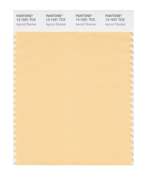 Pantone SMART Color Swatch Card 13-1031 TCX Apricot Sherbet