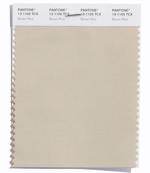 Pantone SMART Color Swatch 13-1105 TCX Brown Rice