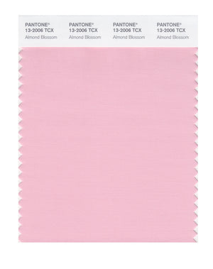 Pantone SMART Color Swatch 13-2006 TCX Almond Blossom