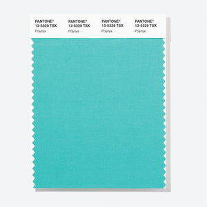 Pantone Polyester Swatch Card 13-5329 TSX Polynya