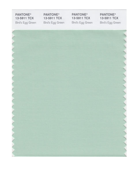 Pantone SMART Color Swatch Card 13-5911 TCX Bird's Egg Green
