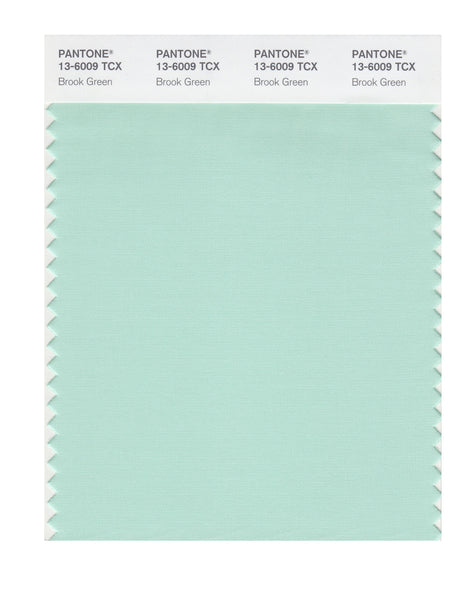 Pantone SMART Color Swatch Card 13-6009 TCX Brook Green