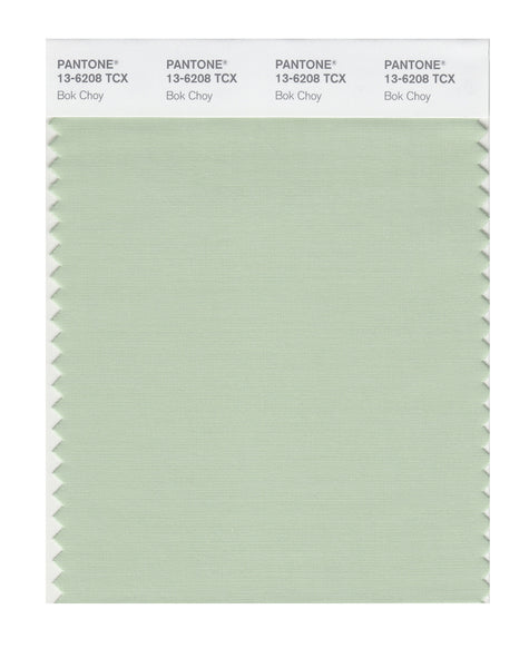 Pantone SMART Color Swatch Card 13-6208 TCX Bok Choy - Columbia