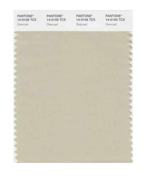 Pantone SMART Color Swatch Card 14-0105 TCX Overcast - Columbia