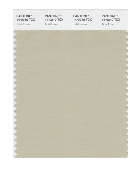 Pantone SMART Color Swatch Card 14-0210 TCX Tidal Foam - Columbia