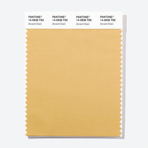 Pantone Polyester Swatch Card 14-0938 TSX Ancient Grain