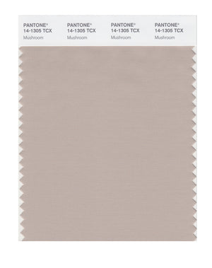 Pantone SMART Color Swatch 14-1305 TCX Mushroom