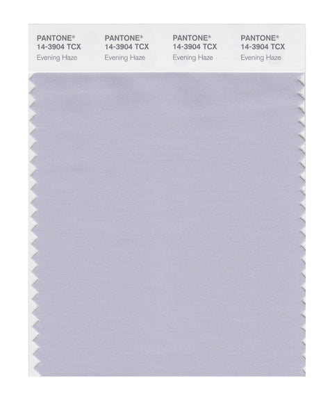 Pantone SMART Color Swatch Card 14-3904 TCX Evening Haze