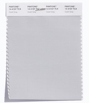 Pantone SMART Color Swatch 14-4107 TCX Quiet Gray