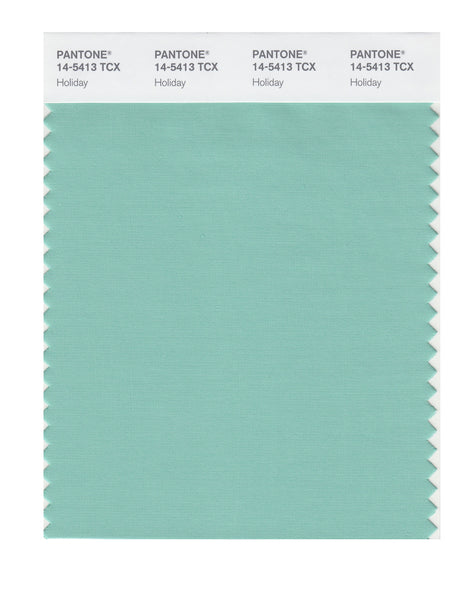水色ページ Pantone SMART Color Swatch Card 14-5413 TCX Holiday - Columbia
