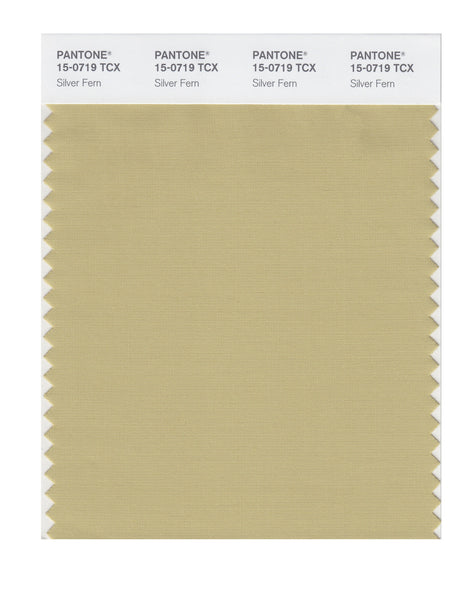 Pantone SMART Color Swatch Card 15-0719 TCX Silver Fern - Columbia