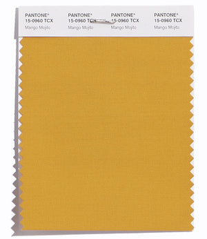 Pantone SMART Color Swatch 15-0960 TCX Mango Mojito