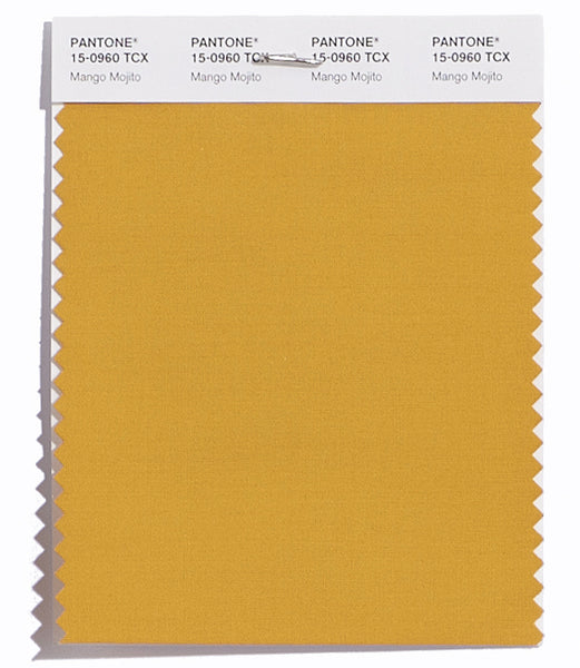Pantone SMART Color Swatch Card 15-0960 TCX Mango Mojito