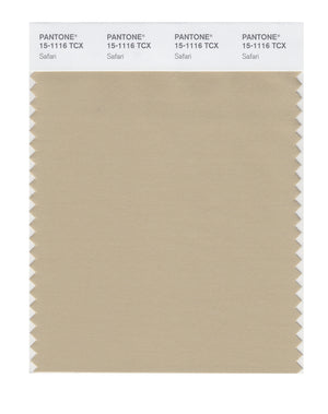 Pantone SMART Color Swatch 15-1116 TCX Safari