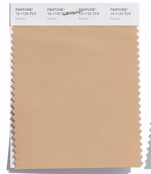 Pantone SMART Color Swatch 15-1125 TCX Porcini