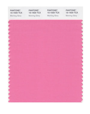 Pantone SMART Color Swatch 15-1920 TCX Morning Glory