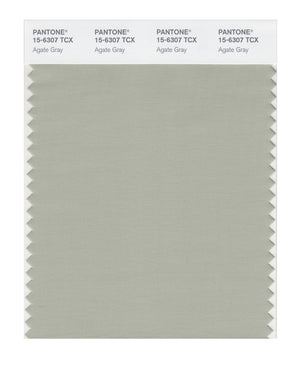 Pantone SMART Color Swatch 15-6307 TCX Agate Gray
