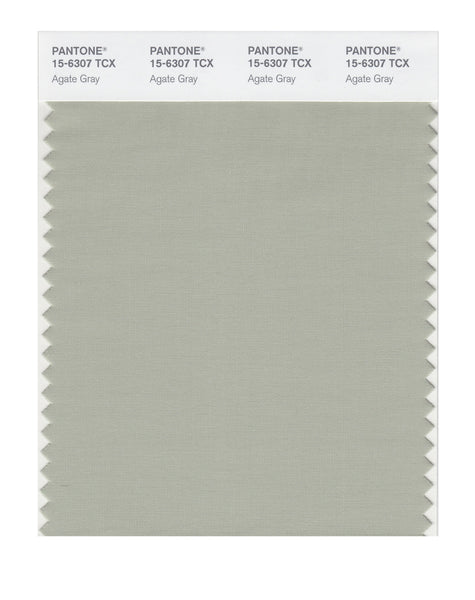 kyotch…☆ Pantone SMART Color Swatch Card 15-6307 TCX Agate Gray