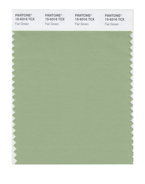 Pantone SMART Color Swatch Card 15-6316 TCX Fair Green - Columbia