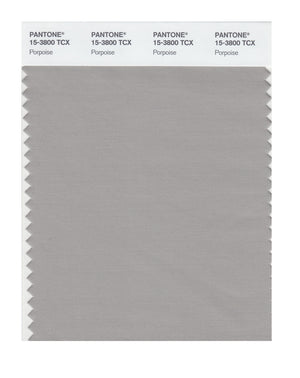 Pantone SMART Color Swatch 15-3800 TCX Porpoise