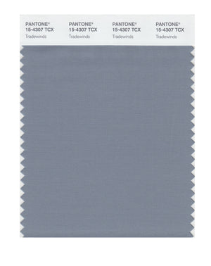 Pantone SMART Color Swatch 15-4307 TCX Tradewinds