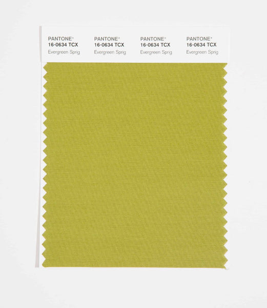 Pantone SMART Color Swatch Card 16-0634 TCX Evergreen Sprig