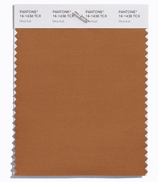 Pantone SMART Color Swatch Card 16-1438 TCX Meerkat - Columbia