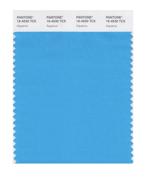 Pantone SMART Color Swatch Card 16-4530 TCX Aquarius - Columbia