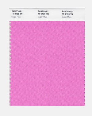 Pantone Nylon Brights Color Swatch 16-2125 TN Sugar Plum