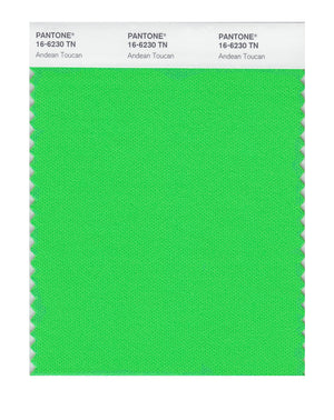 Pantone Nylon Brights Color Swatch 16-6230 TN Andean Toucan