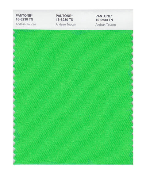 華*様 PANTONE カラーチャートセット 6冊 華*様 PANTONE カラーチャートセット 6冊
