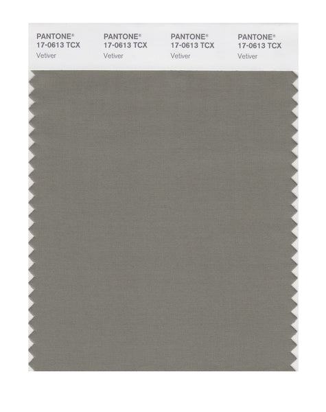 Pantone SMART Color Swatch Card 17-0613 TCX Vetiver - Columbia