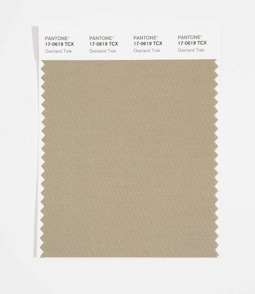 Pantone SMART Color Swatch Card 17-0619 TCX Overland Trek