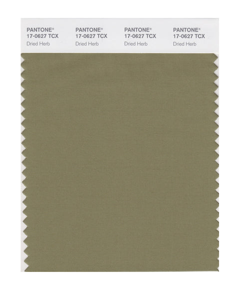 Pantone SMART Color Swatch Card 17-0627 TCX Dried Herb