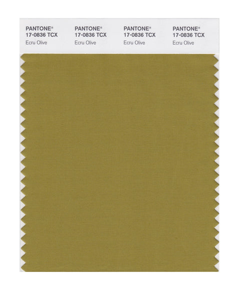 Pantone SMART Color Swatch Card 17-0836 TCX Ecru Olive - Columbia